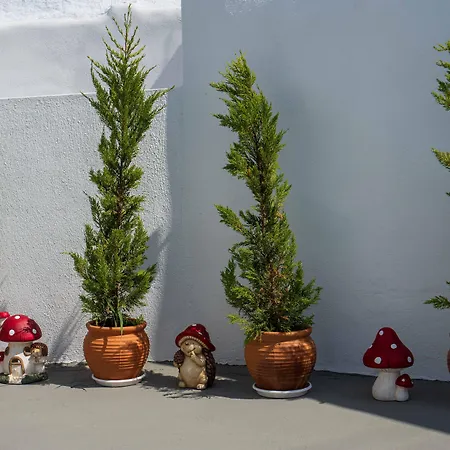Santorita Suites فندق Akrotírion